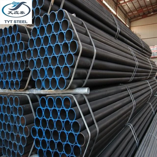 Jadwal 40 Tube